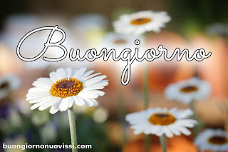 mozzafiato significativo nuovissimo buongiorno immagini recenti