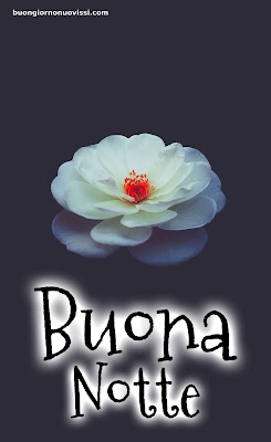 Nuovissimo Buonanotte Immagini Recenti