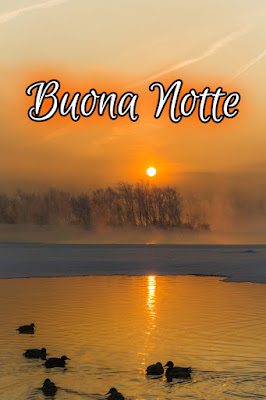 nuovissimo originale nuovissimo buonanotte immagini recenti