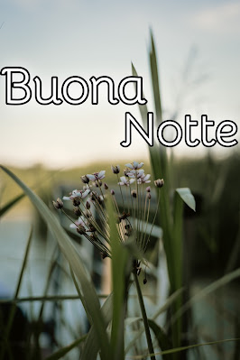 nuovissimo originale nuovissimo buonanotte immagini recenti