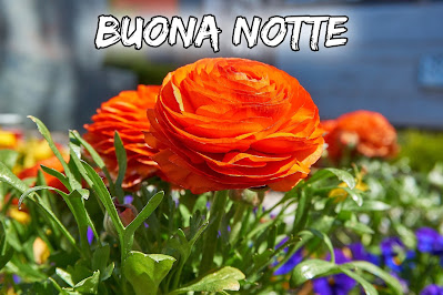 nuovissimo originale nuovissimo buonanotte immagini recenti