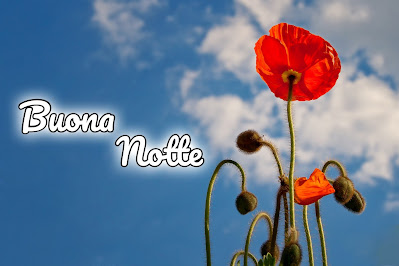 nuovissimo originale nuovissimo buonanotte immagini recenti