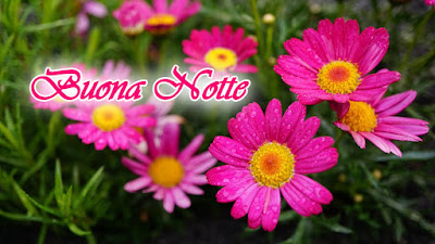 nuovissimo originale nuovissimo buonanotte immagini recenti