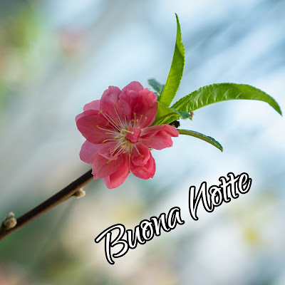nuovissimo originale nuovissimo buonanotte immagini recenti