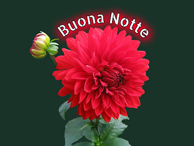 nuovissimo originale nuovissimo buonanotte immagini recenti