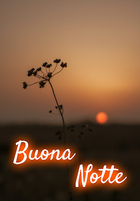nuovissimo originale nuovissimo buonanotte immagini recenti