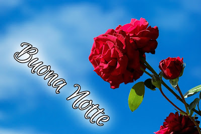 nuovissimo originale nuovissimo buonanotte immagini recenti