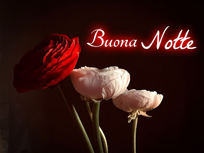 nuovissimo originale nuovissimo buonanotte immagini recenti