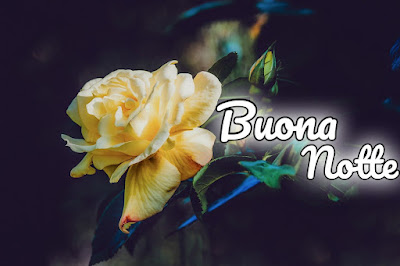 nuovissimo originale nuovissimo buonanotte immagini recenti