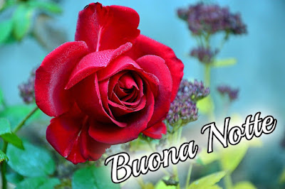 nuovissimo originale nuovissimo buonanotte immagini recenti