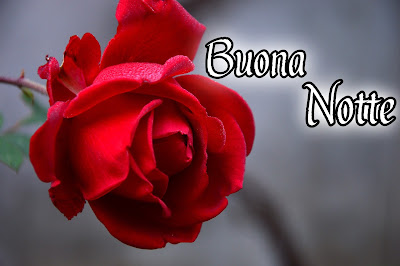 nuovissimo originale nuovissimo buonanotte immagini recenti