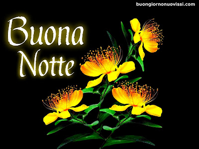 originale buonanotte pinterest nuovissimi originale buonanotte pinterest nuovissimi