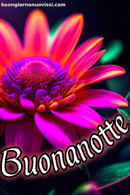 originale buonanotte pinterest nuovissimi originale buonanotte pinterest nuovissimi