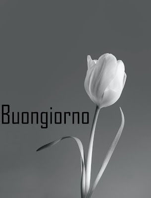 pinterest nuovissimo pinterest buongiorno immagini recenti