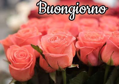 pinterest nuovissimo pinterest buongiorno immagini recenti
