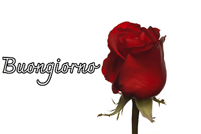 pinterest nuovissimo pinterest buongiorno immagini recenti
