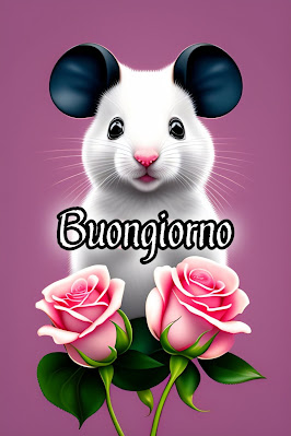 pinterest nuovissimo pinterest buongiorno immagini recenti