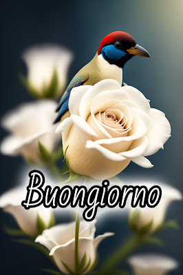 pinterest nuovissimo pinterest buongiorno immagini recenti