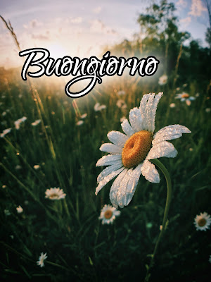 pinterest nuovissimo pinterest buongiorno immagini recenti