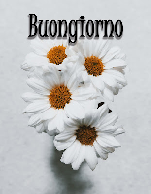 pinterest nuovissimo pinterest buongiorno immagini recenti