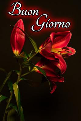 stupende nuovissimo buongiorno immagini recenti