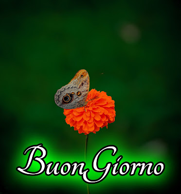 stupende nuovissimo buongiorno immagini recenti