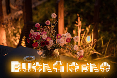 stupende nuovissimo buongiorno immagini recenti