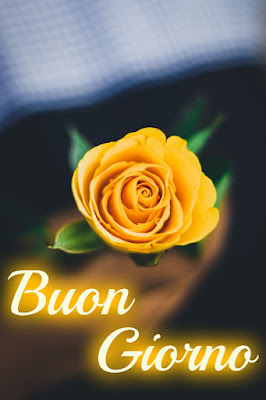 stupende nuovissimo buongiorno immagini recenti