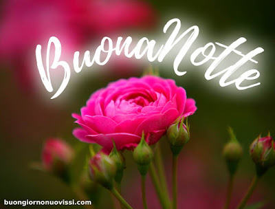 buona serata e buona notte immagini nuove buona serata e buona notte immagini nuove