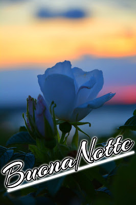 nuovissimo buonanotte immagini recenti gratis per whatsapp nuovissimo buonanotte immagini recenti gratis per whatsapp