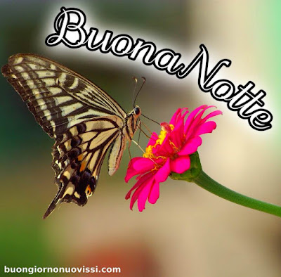 buona serata e buona notte immagini nuove buona serata e buona notte immagini nuove