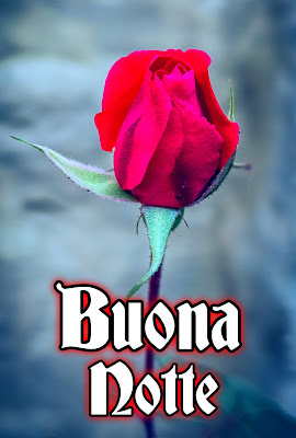 nuovissimo buonanotte immagini recenti gratis per whatsapp nuovissimo buonanotte immagini recenti gratis per whatsapp