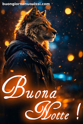 nuovissimi buonanotte la pietra bianca