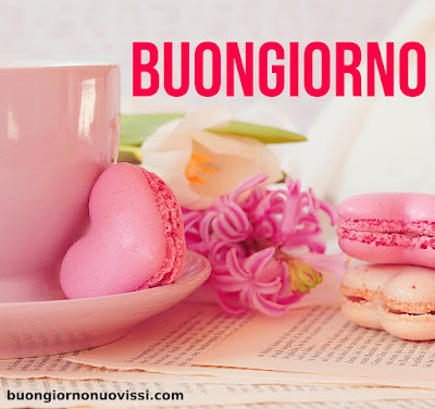 buongiorno nuovissimi buongiorno nuovissimi