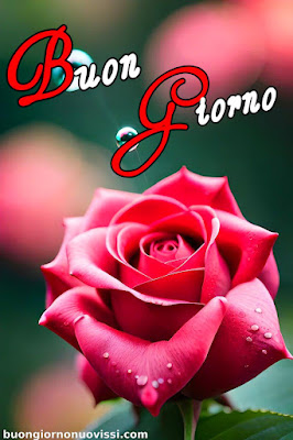 buongiorno nuovissimi buongiorno nuovissimi