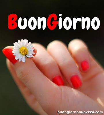 buongiorno nuovissimi buongiorno nuovissimi