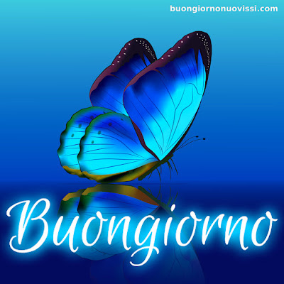 buongiorno nuovissimi buongiorno nuovissimi