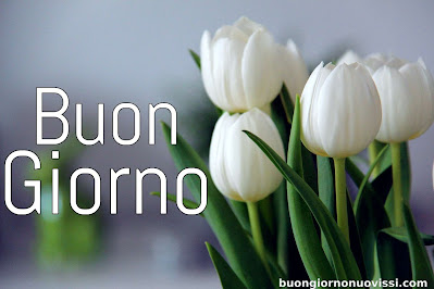 buongiorno nuovissimi buongiorno nuovissimi