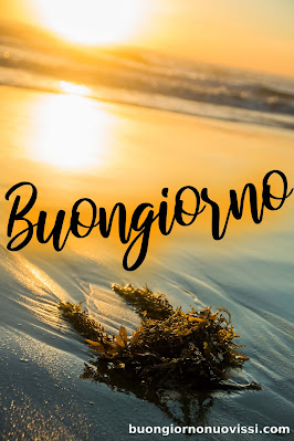 buongiorno nuovissimi buongiorno nuovissimi