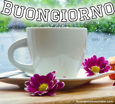 buongiorno nuovissimi buongiorno nuovissimi