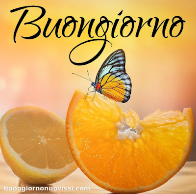 buongiorno nuovissimi buongiorno nuovissimi