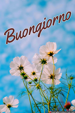 mozzafiato significativo nuovissimo buongiorno immagini recenti