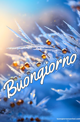 mozzafiato significativo nuovissimo buongiorno immagini recenti