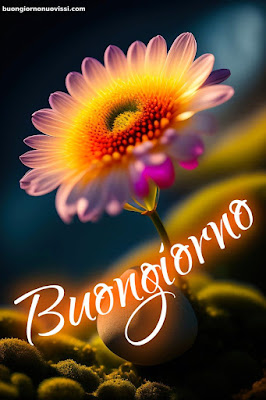 mozzafiato significativo nuovissimo buongiorno immagini recenti