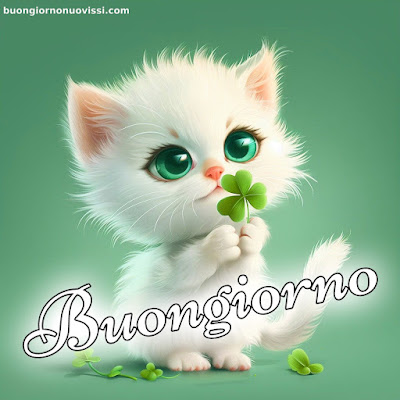 mozzafiato significativo nuovissimo buongiorno immagini recenti