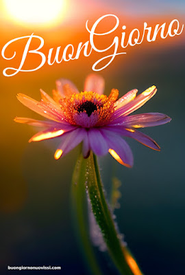 mozzafiato significativo nuovissimo buongiorno immagini recenti