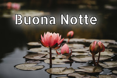 nuovissimo originale nuovissimo buonanotte immagini recenti