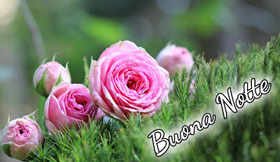 nuovissimo originale nuovissimo buonanotte immagini recenti