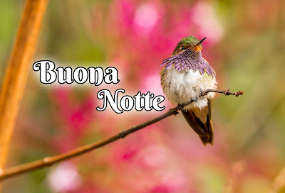 nuovissimo originale nuovissimo buonanotte immagini recenti