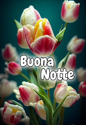 nuovissimo originale nuovissimo buonanotte immagini recenti